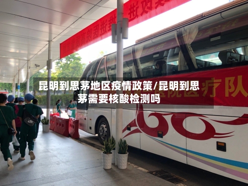 昆明到思茅地区疫情政策/昆明到思茅需要核酸检测吗-第2张图片