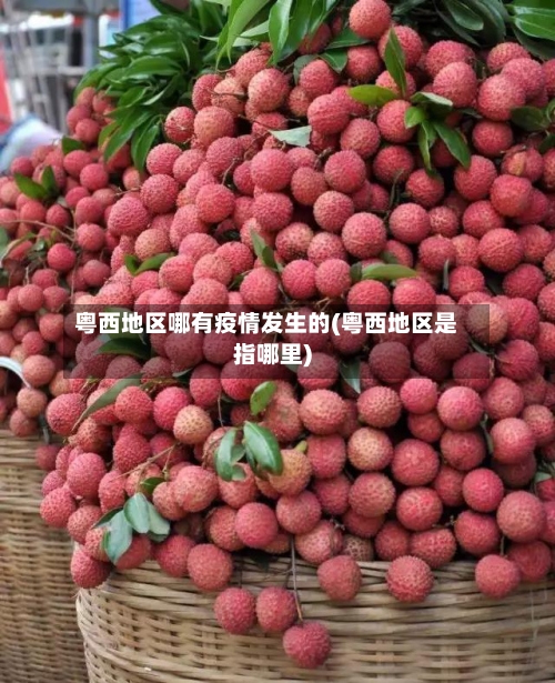 粤西地区哪有疫情发生的(粤西地区是指哪里)-第2张图片