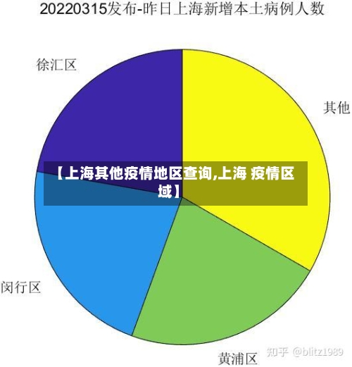 【上海其他疫情地区查询,上海 疫情区域】-第2张图片