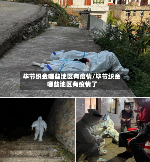 毕节织金哪些地区有疫情/毕节织金哪些地区有疫情了-第3张图片