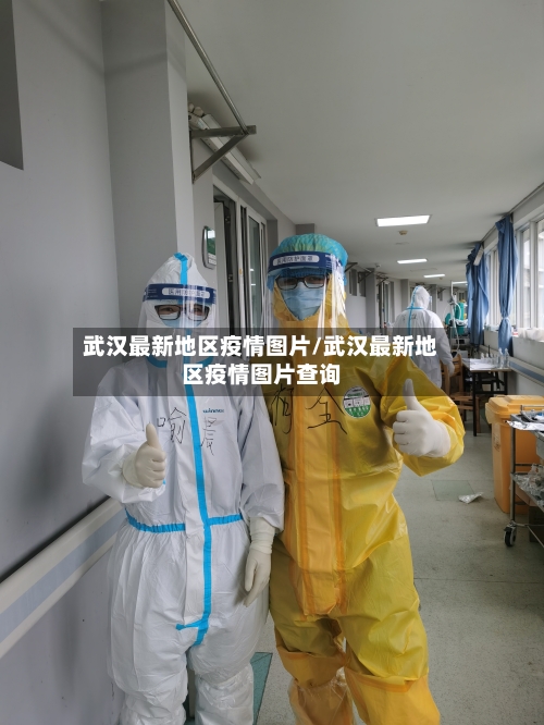 武汉最新地区疫情图片/武汉最新地区疫情图片查询-第2张图片
