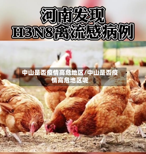 中山是否疫情高危地区/中山是否疫情高危地区呢