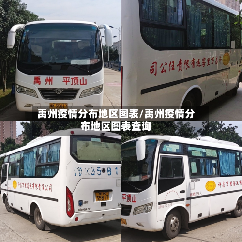 禹州疫情分布地区图表/禹州疫情分布地区图表查询-第3张图片