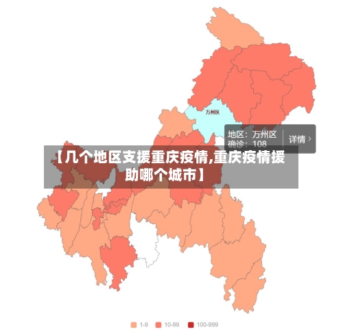 【几个地区支援重庆疫情,重庆疫情援助哪个城市】
