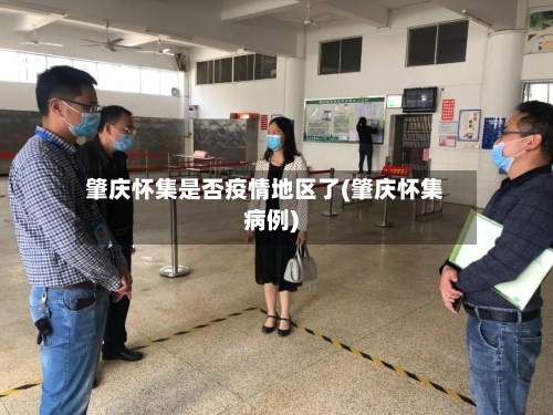 肇庆怀集是否疫情地区了(肇庆怀集病例)-第2张图片