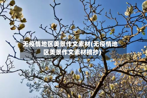 无疫情地区美景作文素材(无疫情地区美景作文素材摘抄)-第2张图片