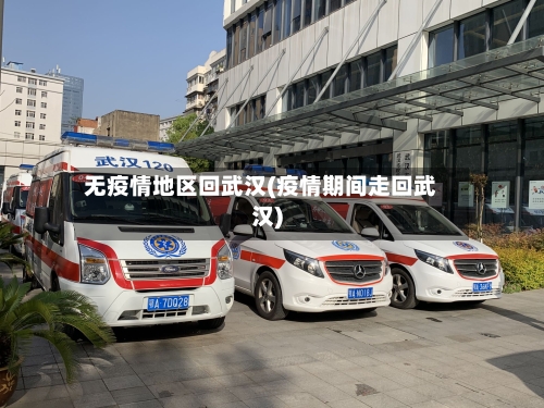 无疫情地区回武汉(疫情期间走回武汉)