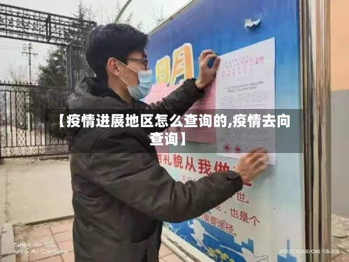 【疫情进展地区怎么查询的,疫情去向查询】-第3张图片