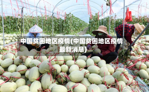 中国贫困地区疫情(中国贫困地区疫情最新消息)-第2张图片