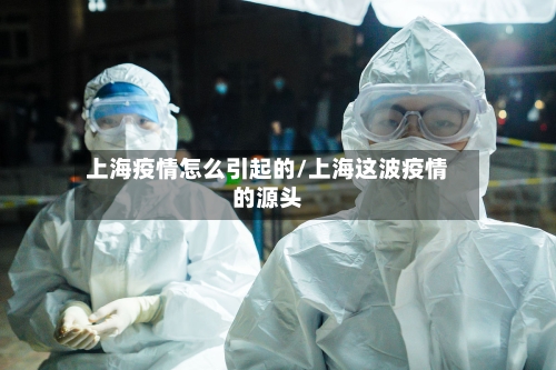 上海疫情怎么引起的/上海这波疫情的源头