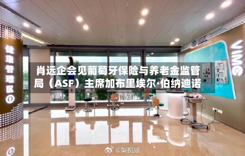 肖远企会见葡萄牙保险与养老金监管局（ASF）主席加布里埃尔·伯纳迪诺