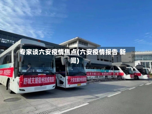 专家谈六安疫情焦点(六安疫情报告 新闻)