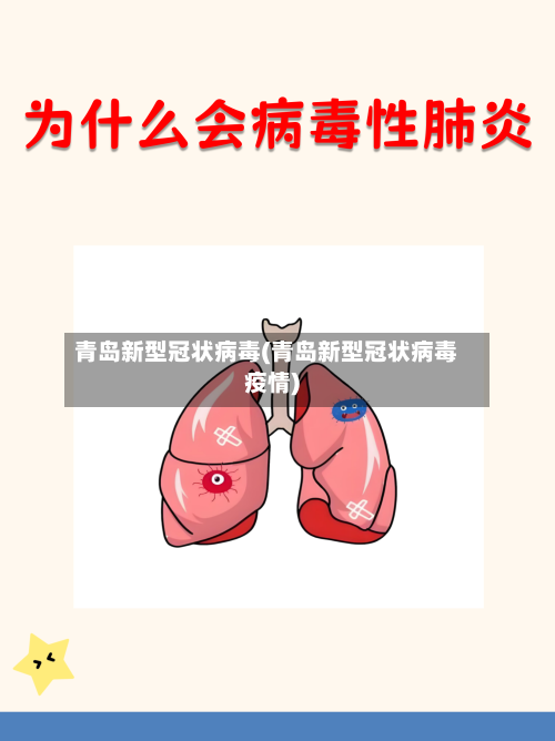 青岛新型冠状病毒(青岛新型冠状病毒疫情)-第2张图片
