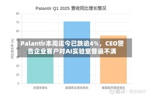 Palantir本周迄今已跌逾4%	，CEO警告企业客户对AI实验室普遍不满-第2张图片