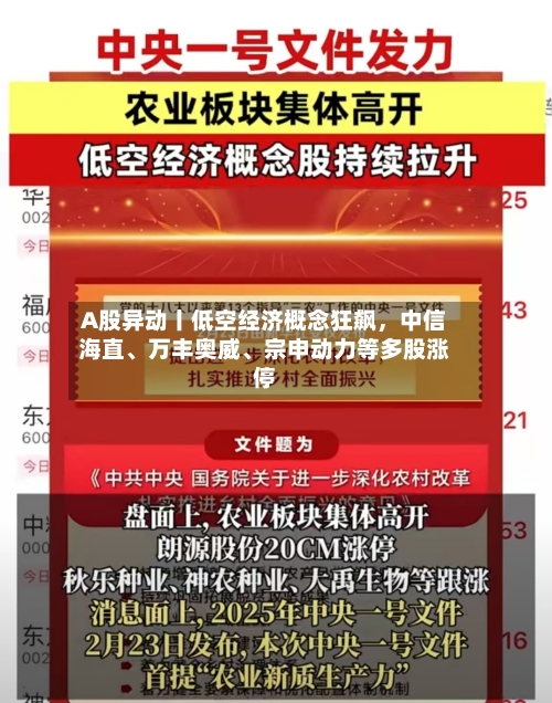A股异动丨低空经济概念狂飙，中信海直、万丰奥威	、宗申动力等多股涨停-第2张图片
