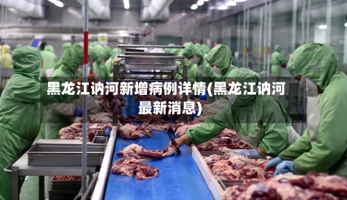 黑龙江讷河新增病例详情(黑龙江讷河最新消息)