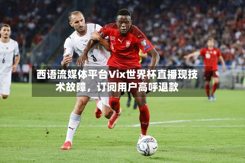 西语流媒体平台Vix世界杯直播现技术故障	，订阅用户高呼退款-第2张图片