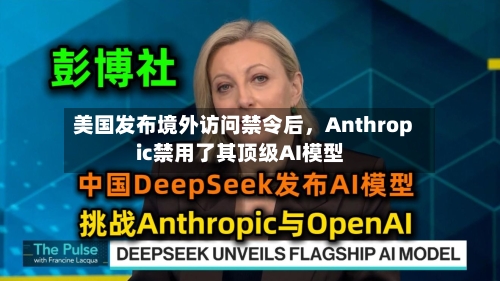 美国发布境外访问禁令后，Anthropic禁用了其顶级AI模型-第2张图片