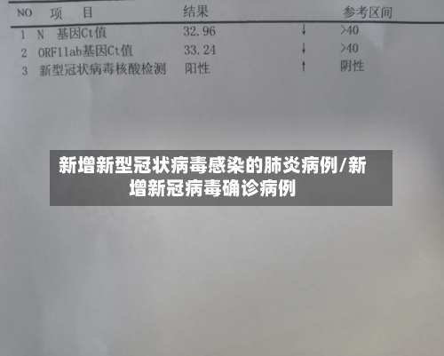 新增新型冠状病毒感染的肺炎病例/新增新冠病毒确诊病例