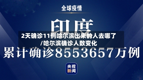 2天确诊11例哈尔滨出来的人去哪了/哈尔滨确诊人数变化-第2张图片