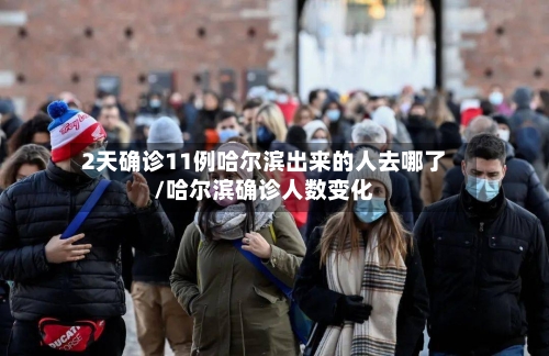 2天确诊11例哈尔滨出来的人去哪了/哈尔滨确诊人数变化-第3张图片