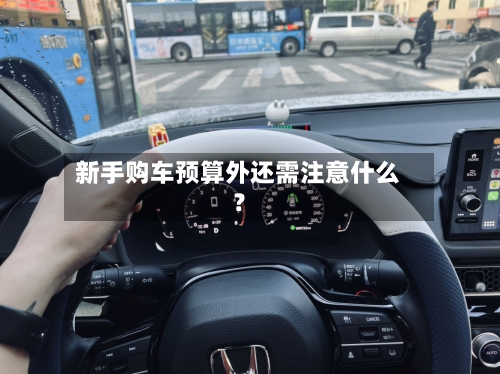 新手购车预算外还需注意什么？-第2张图片