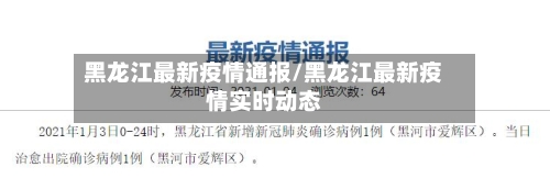 黑龙江最新疫情通报/黑龙江最新疫情实时动态-第2张图片