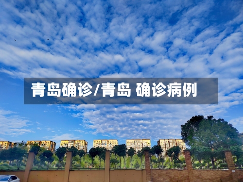 青岛确诊/青岛 确诊病例-第3张图片