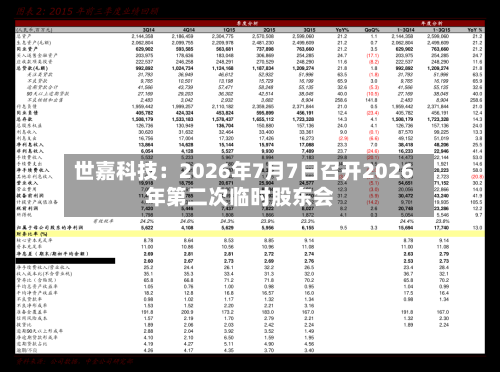 世嘉科技：2026年7月7日召开2026年第二次临时股东会-第2张图片