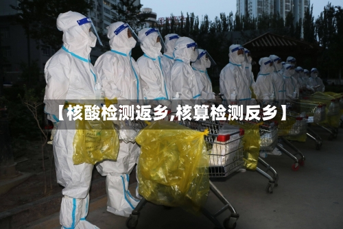 【核酸检测返乡,核算检测反乡】-第2张图片
