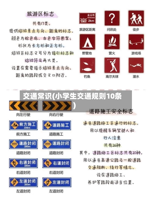 交通常识(小学生交通规则10条)