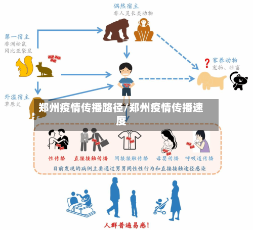郑州疫情传播路径/郑州疫情传播速度-第2张图片