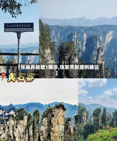 【张家界新增1确诊,张家界新增例确诊】