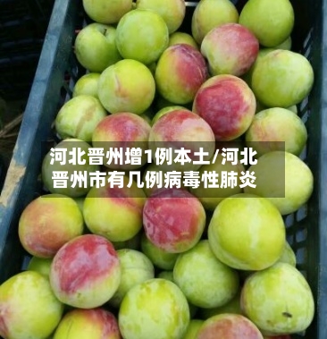 河北晋州增1例本土/河北晋州市有几例病毒性肺炎-第2张图片
