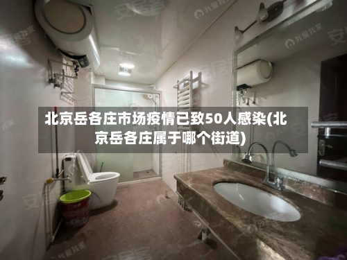 北京岳各庄市场疫情已致50人感染(北京岳各庄属于哪个街道)