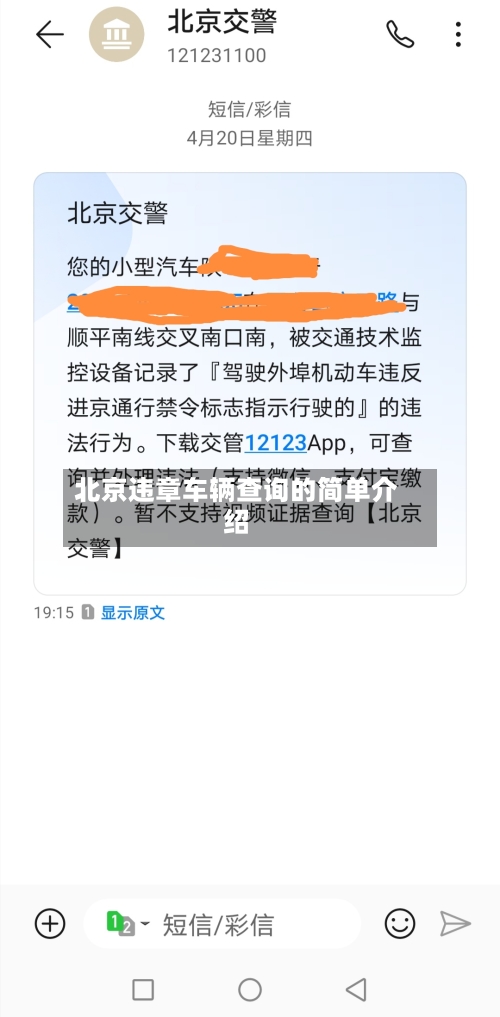 北京违章车辆查询的简单介绍-第2张图片