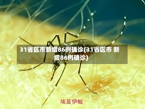 31省区市新增86例确诊(31省区市 新增86例确诊)-第2张图片