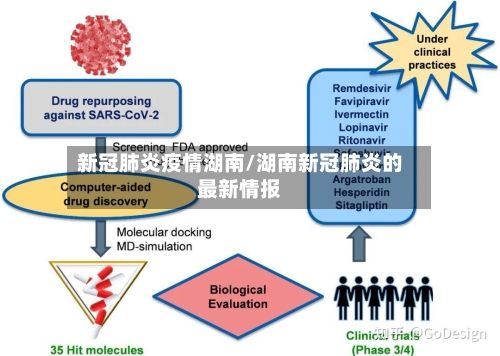 新冠肺炎疫情湖南/湖南新冠肺炎的最新情报