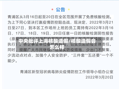 中央批评上海核酸造假/核酸造假会怎么样-第3张图片