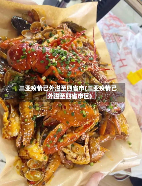 三亚疫情已外溢至四省市(三亚疫情已外溢至四省市区)