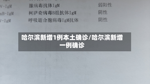 哈尔滨新增1例本土确诊/哈尔滨新增一例确诊-第2张图片