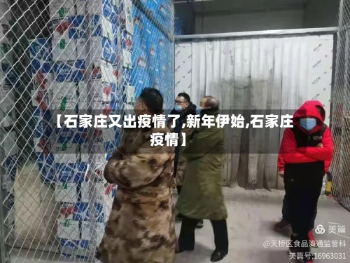 【石家庄又出疫情了,新年伊始,石家庄疫情】-第3张图片