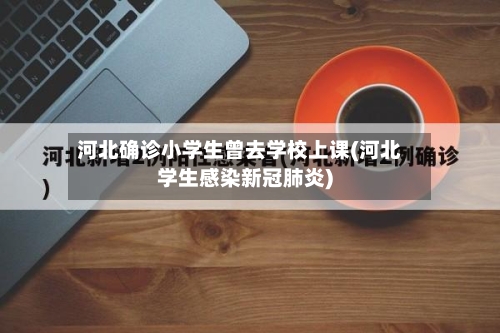 河北确诊小学生曾去学校上课(河北学生感染新冠肺炎)-第2张图片