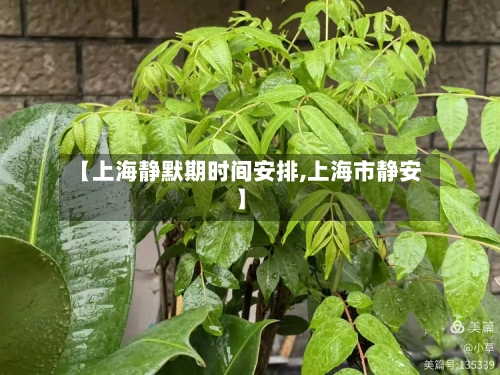 【上海静默期时间安排,上海市静安】-第3张图片