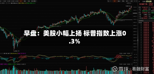 早盘：美股小幅上扬 标普指数上涨0.3%-第2张图片