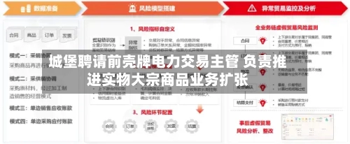 城堡聘请前壳牌电力交易主管 负责推进实物大宗商品业务扩张-第3张图片