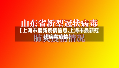 【上海市最新疫情信息,上海市最新冠状病毒疫情】-第3张图片