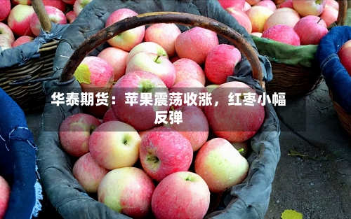 华泰期货：苹果震荡收涨	，红枣小幅反弹-第1张图片
