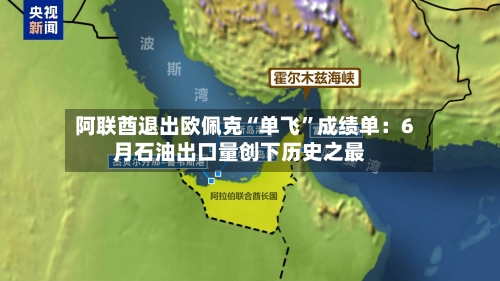阿联酋退出欧佩克“单飞”成绩单：6月石油出口量创下历史之最-第1张图片