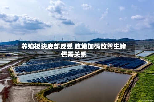 养殖板块底部反弹 政策加码改善生猪供需关系-第1张图片